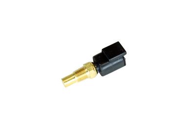 AEM Electronics Sensor, Coolant Temperature, Brass, Natural, 1/8 in. NPT Thread Size, Kit - 302013